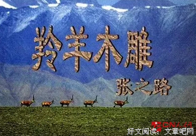 《开口就能说重点》读后感1000字