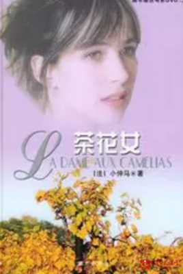 《怎可以一生一世》的读后感大全