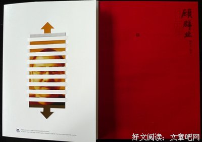顾群业作品集读后感摘抄