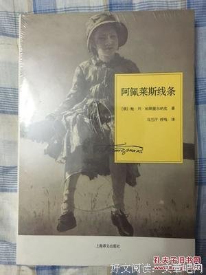 阿佩莱斯线条的读后感大全