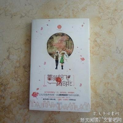 《蔷薇纷飞一路向北》的读后感大全