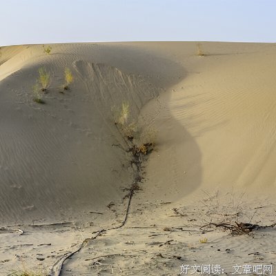 《滴水之恩》经典影评集