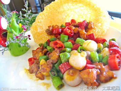 《美食村》观后感精选