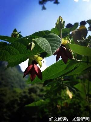 斗志昂天国家便的句子