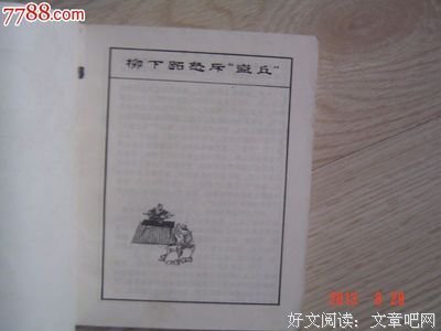 《波希米亚丑闻》经典观后感集