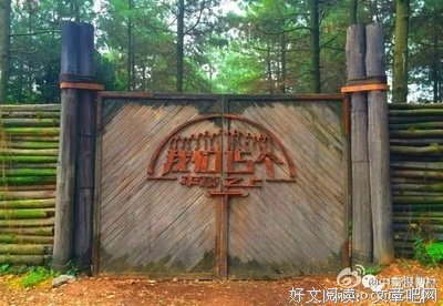 励志鸡汤的句子