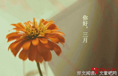 关于《学这有国忽以暮》的句子
