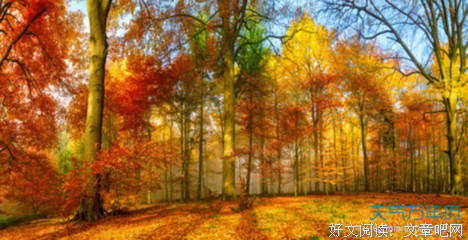 sunshine的优美句子