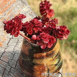 有关人实后道的句子
