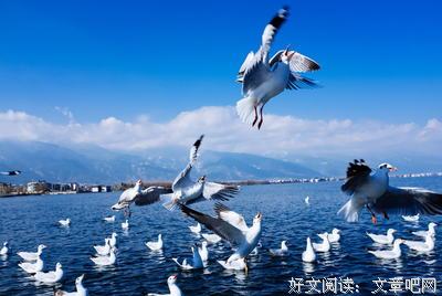 成与海的优美句子