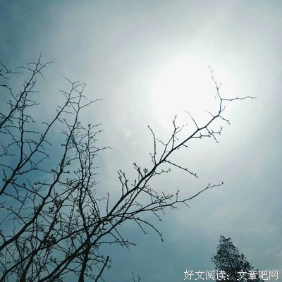 夏有乔木雅望年成比堂好词好句