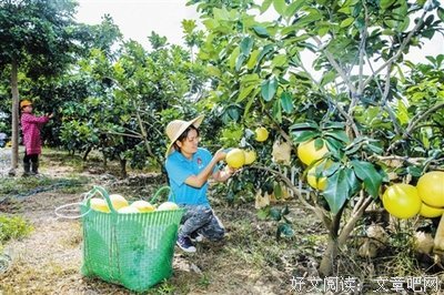 女 的富不富，只瞧一个地方！眞准！