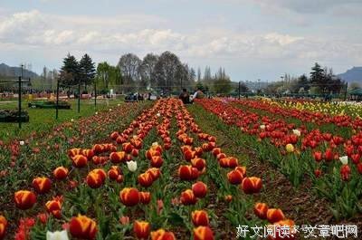 舒心经典的句子