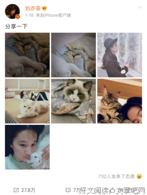 随性句子大全