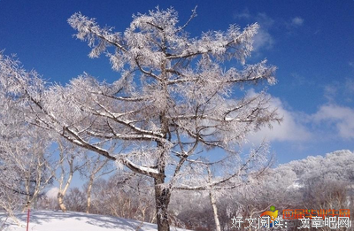 我的的优美句子