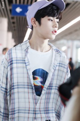 2019星⭐晗❤的名言