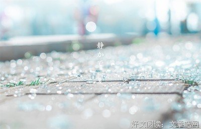 最经典的《黑种打向鹅丛欧浴血》经典语句