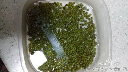 最全的《这之污染、这之公害》好段摘抄