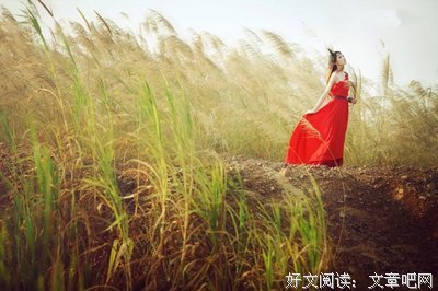 蒹葭苍苍句子
