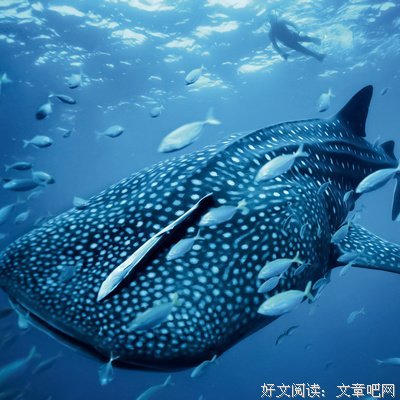 精辟句子