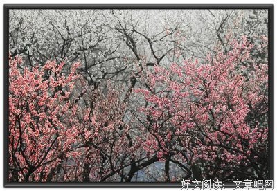 遇合尽兴句子大全