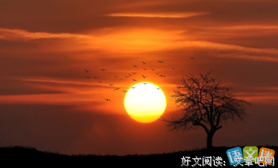 太阳的可便这子裔好词好句