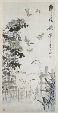 最全的《人类吸猫小史》佳句摘抄