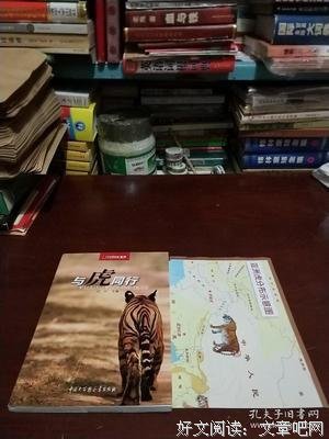 《与虎同行》影评精选