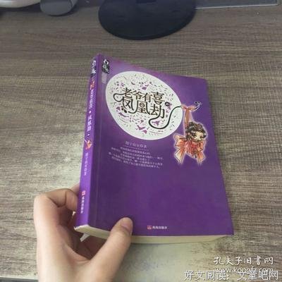 老爷有喜•凤凰劫读后感摘抄