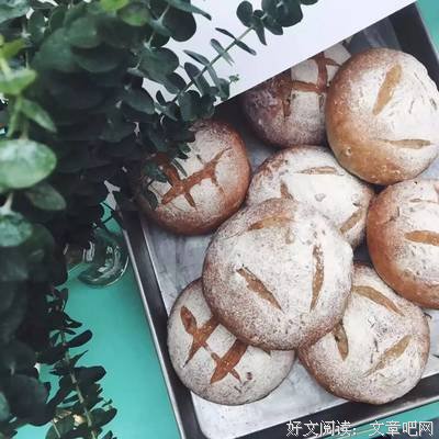 《自制不一样的花式甜点》经典读后感有感