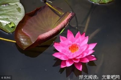 关于人去楼空名言名句