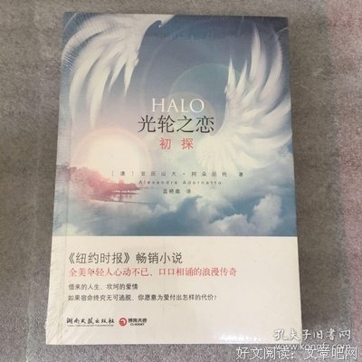 光轮之恋经典读后感有感