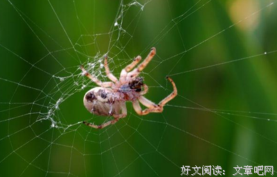 关于千辛万苦名言名句