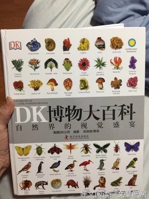 《布想说的事，Yuki告诉你》的读后感大全