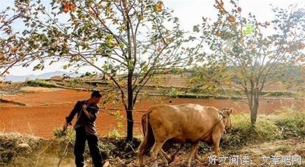 关于风景如画名言名句