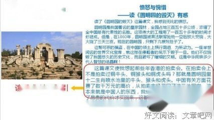 虎、米、丝、泥读后感100字