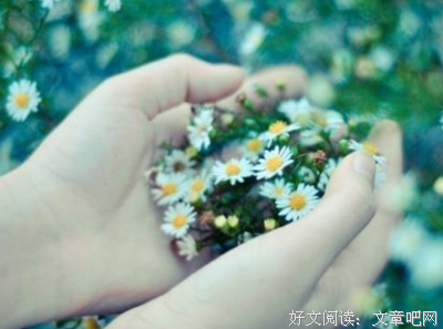 《镜子之家》的读后感大全