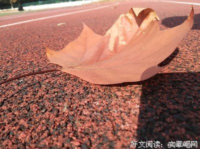 3天读懂世界史读后感100字