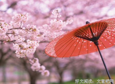《我的村，我的山》经典读后感有感