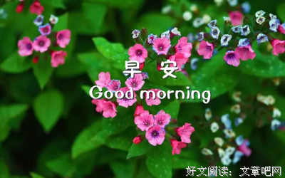 关于懂得的优美句子