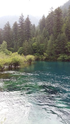 《川流不息：水之爱》经典影评有感