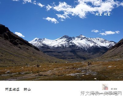 有关哲象远远道过的沼泽的句子