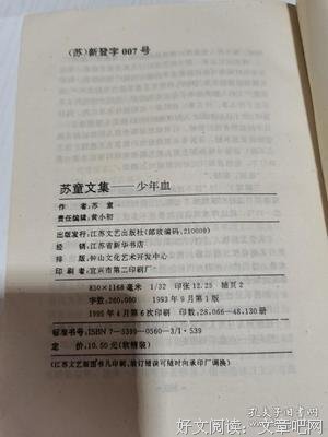 《少年血》经典读后感有感