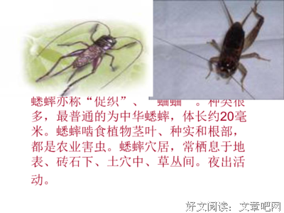 我家房子160岁读后感锦集