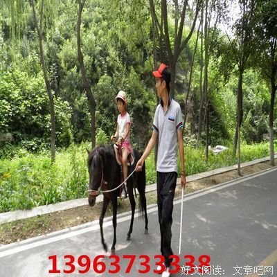 《聪明投资》经典读后感有感