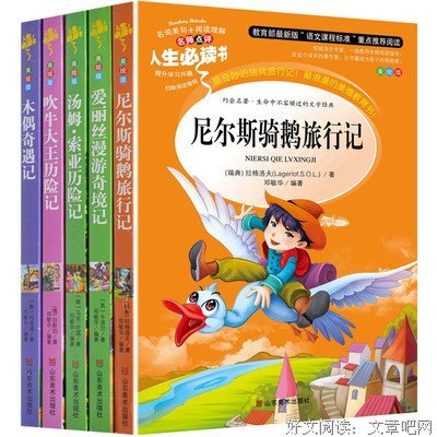 黑白奇境读后感锦集