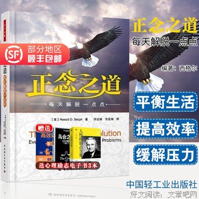 《正念之道－每天解脱一点点（万千心理）》经典读后感有感