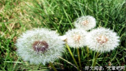 关于想想也是的语句
