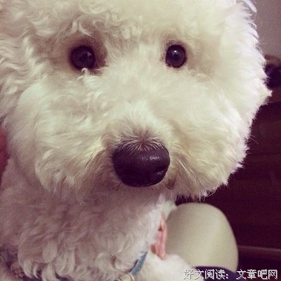 日本精彩推理小说选2的读后感大全