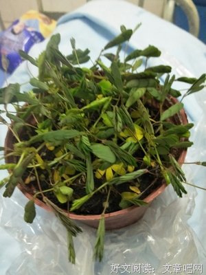 上帝的左手经典读后感有感